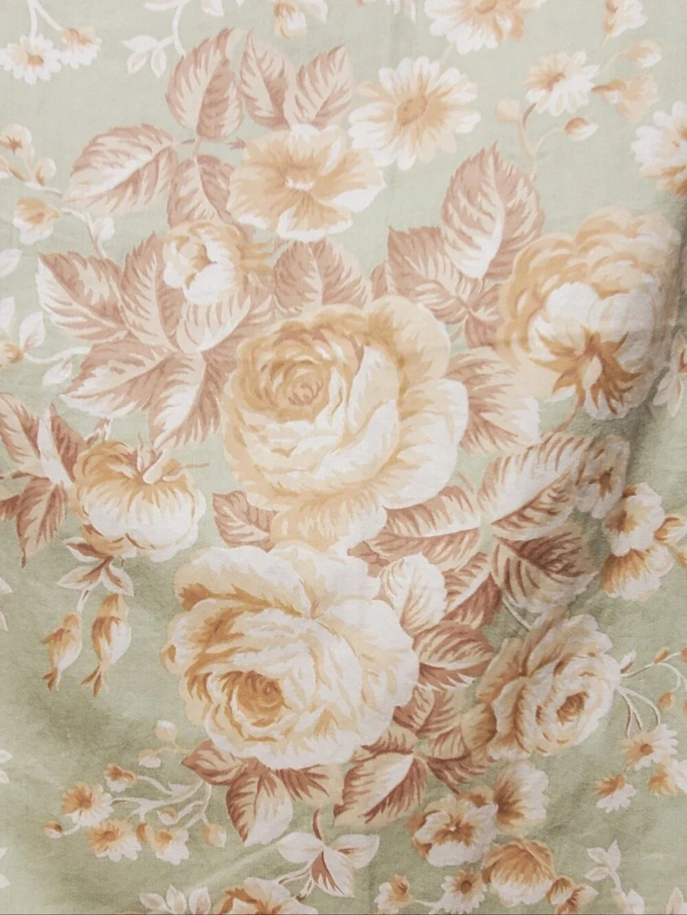 Lauren Ralph Lauren Floral Set Of 2 Pillowshams 100% Cotton Size King